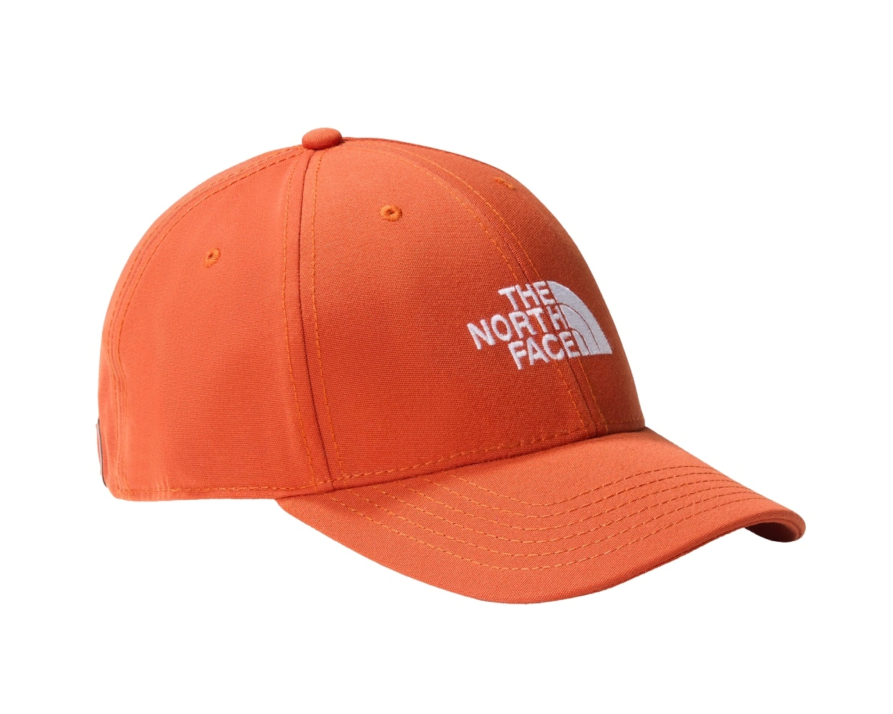 The North Face Recycled 66 pet skate